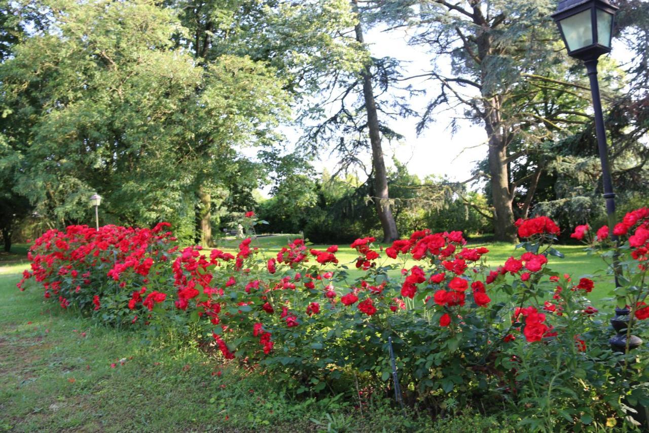 Le Chateau Des Tourelles En Vendee La Gaubretiere Ngoại thất bức ảnh