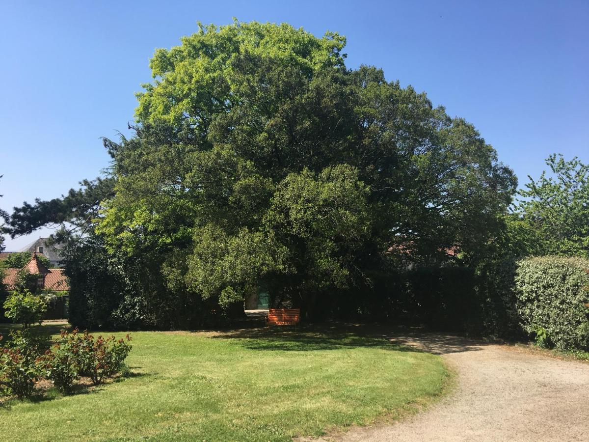 Le Chateau Des Tourelles En Vendee La Gaubretiere Ngoại thất bức ảnh